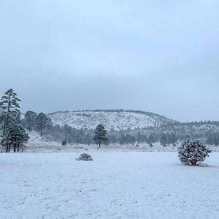 Family Home In Flagstaff With Surrounding Mtn Views! Eksteriør billede