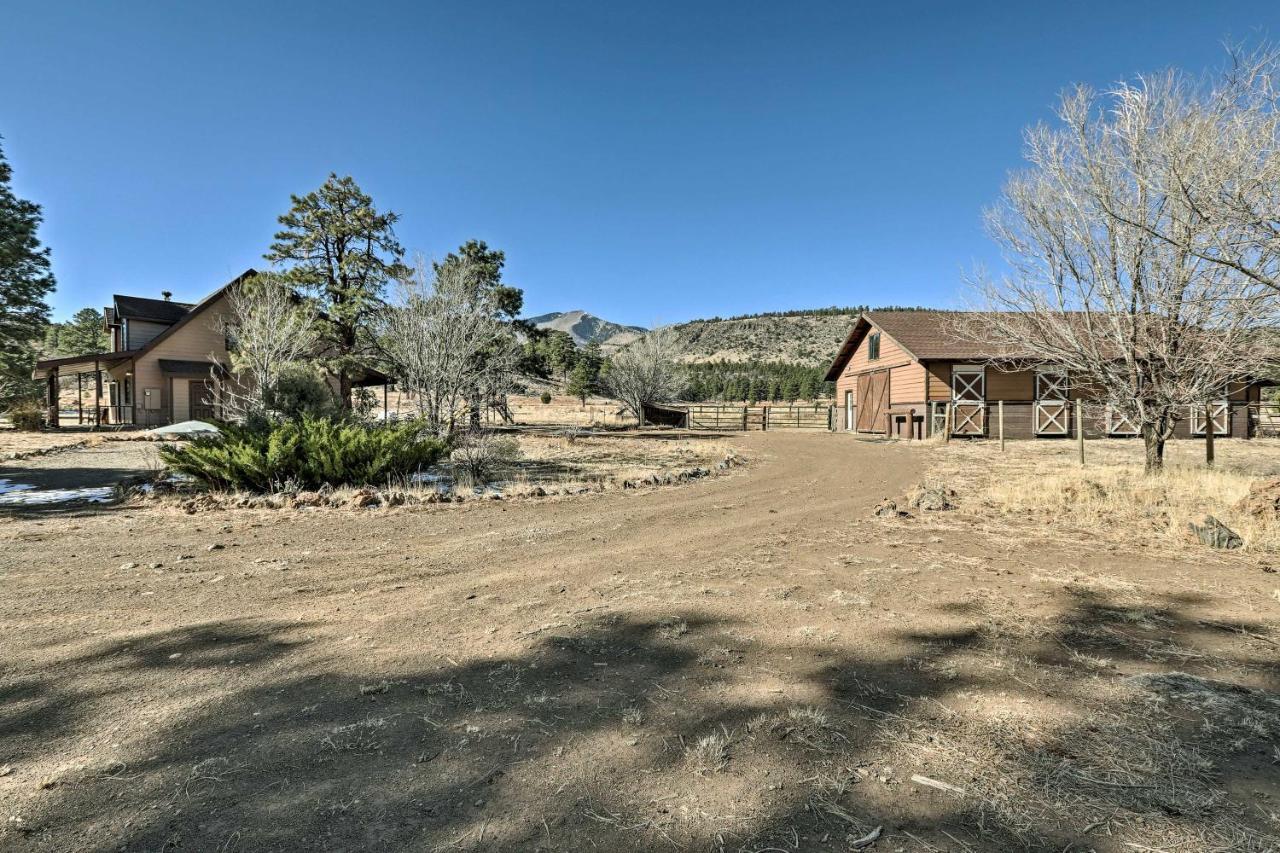 Family Home In Flagstaff With Surrounding Mtn Views! Eksteriør billede